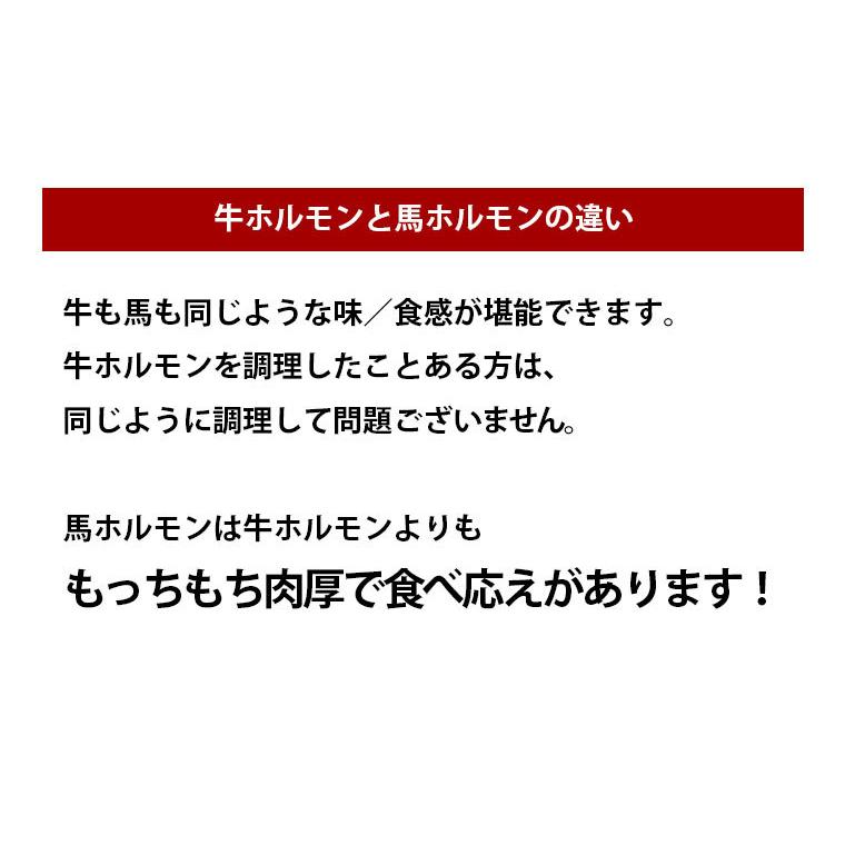 馬刺し 肉 熊本 国産 上 ホルモン 大腸 約500g 馬肉 ギフト 食べ物 おつまみ 熊本馬刺し専門店 お中元 2023