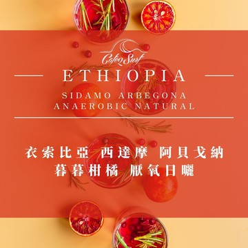 淺烘焙︱#3 衣索比亞 西達摩 阿貝戈納 暮暮柑橘 厭氧日曬﹙半磅裝﹚︱淺烘焙