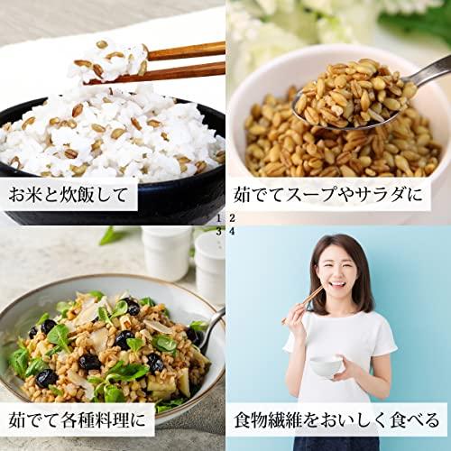 自然健康社 スーパー大麦 バーリーマックス 1kg 3つの食物繊維