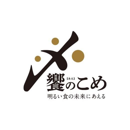 ふるさと納税 石川県 羽咋市 [A147] 《R5年産》ゆめみづほ　5kg（5kg×1袋）