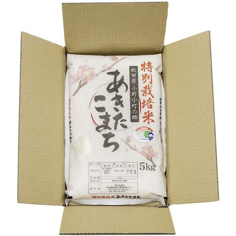 秋田県湯沢市産 小野小町の郷 特別栽培米 あきたこまち 令和4年産 つきたて白米 5kg