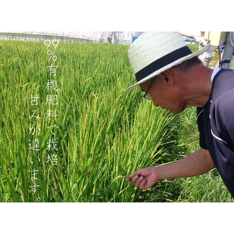 令和5年産新米 特別栽培米 会津産コシヒカリ 『秘匠（ひしょう）』 1等玄米30kg