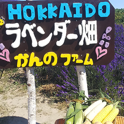 かんのファーム産 とうもろこし 食べ比べ 10本 セット(じゃがいも付) 北海道 上富良野町 とうもろこし トウモロコシ セット じゃがいも ジャガイモ 先行受付