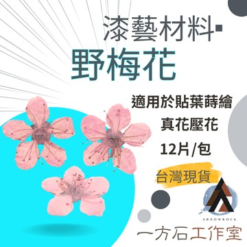 【一方石】梅花 漆藝貼葉蒔繪材料 隔日配 真葉乾燥素材 12片/包 貼葉蒔繪 樹滴膠封入 DIY手作素材 台灣現貨