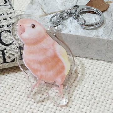 秋草鸚鵡_-壓克力吊飾(鑰匙圈)-雙面圖案-新廠商