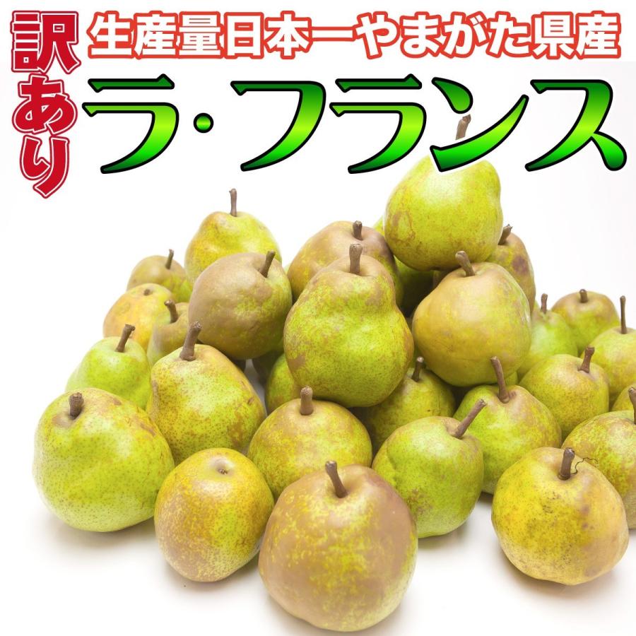 ラ・フランス 訳あり 5kg 送料無料 山形県産 ご家庭用 規格外 らふらんす 洋梨