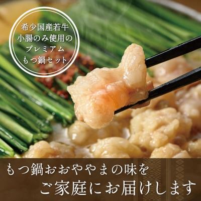 ふるさと納税 福智町 博多もつ鍋おおやまもつ鍋しょうゆ味2人前