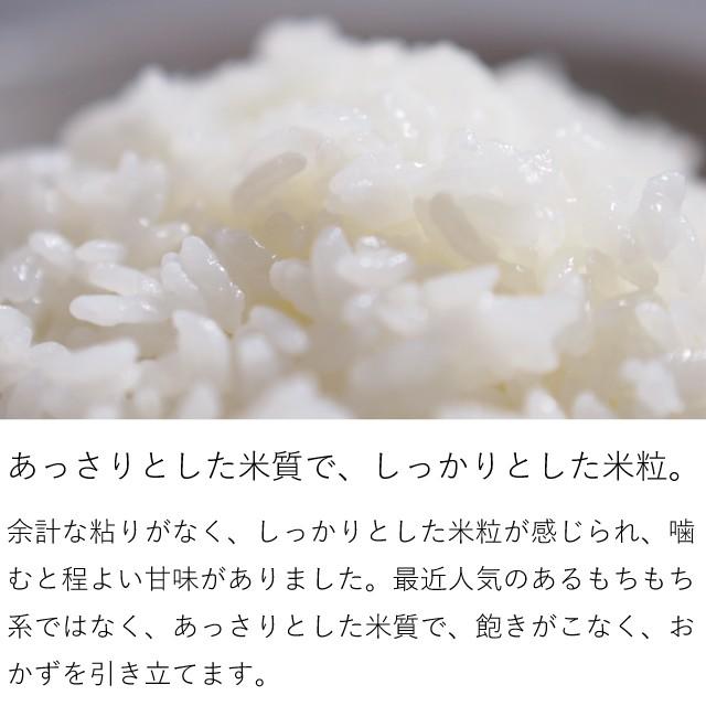 新米 曽根さんが育てた ななつぼし 10kg 5kg×2袋 北海道妹背牛町産 玄米 白米 分づき米 令和5年産 米 お米 送料無料 真空パックに変更可