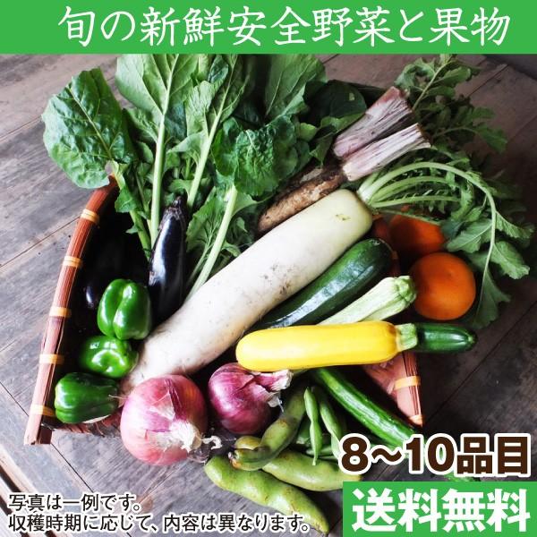 旬の野菜セット (野菜と果物8〜10品目) 奈良 和歌山 採れたて 産地直送 減農薬 有機質肥料 詰め合わせ(送料無料)