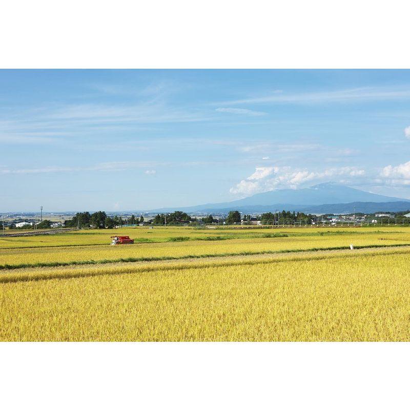 精米 山形県産 白米 つや姫 5kg.