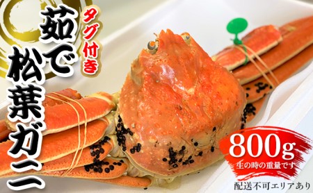 松葉ガニ 茹で タグ付き 800g up《2023年11月10日以降順次発送》[ 蟹 かに カニ 松葉蟹 国産 冷蔵