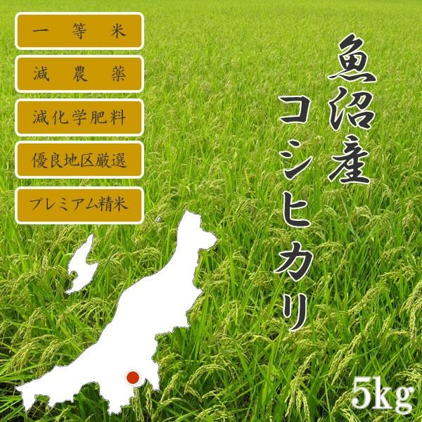 ［玄米］新米 令和5年産 一等米 新潟県 魚沼産コシヒカリ 特別栽培米(減農薬米・減化学肥料米)コシヒカリ 5kg