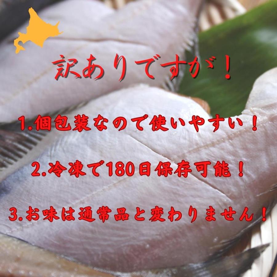 訳あり 干物 宗八かれい (B品 2-3枚 300g前後  10セット) 軽石干し カレイ 宗八鰈 一夜干し 北海道 鹿部町 イリエ船橋商店 灰干し 送料無料