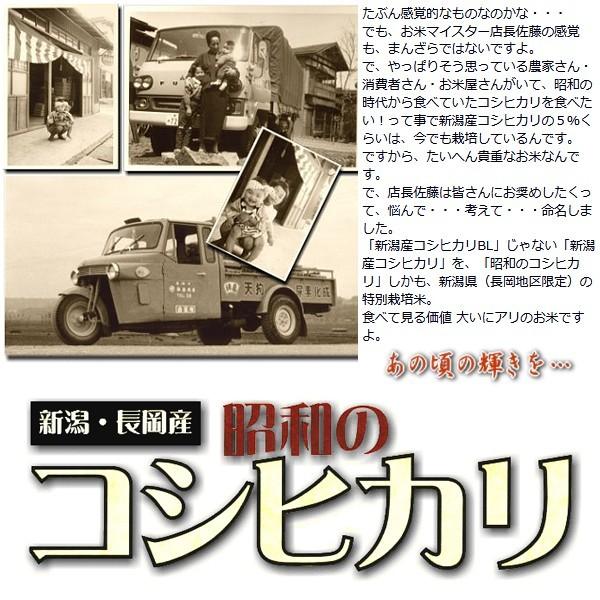 お米 10kg 昭和のコシヒカリ（ 新潟県産コシヒカリ ）（令和5年産） 10kg （5kg×2袋）