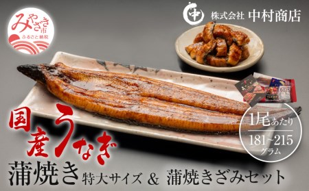 国産うなぎ蒲焼き特大サイズ(181～215g)・蒲焼きざみセット