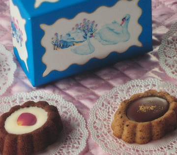 【預購】RURU Mary's 老虎蛋糕禮盒 巧克力 費南雪蛋糕 奶油 杏仁 玫瑰醬巧克力 日本伴手禮 禮盒