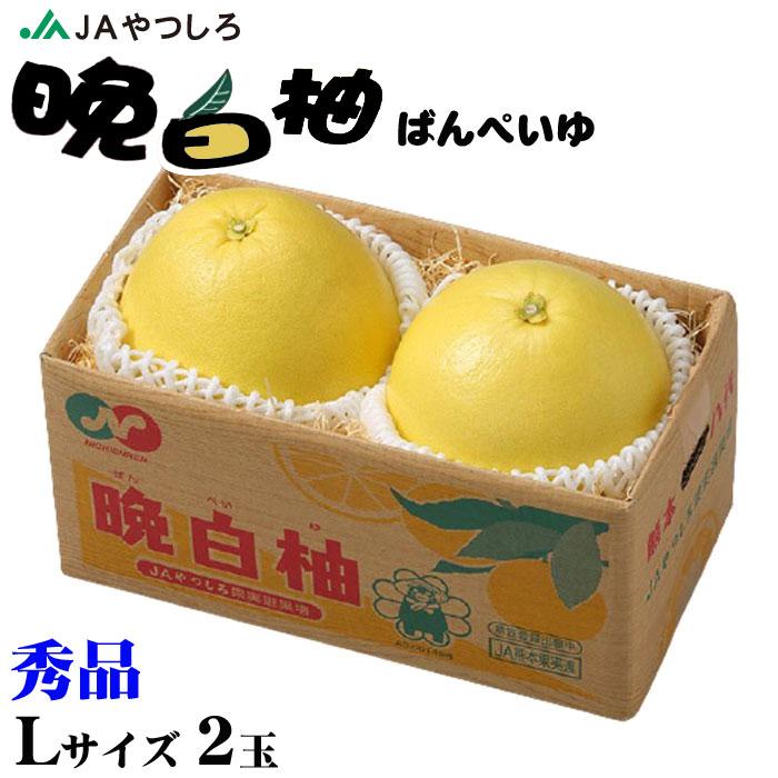 お歳暮 みかん 晩白柚 ばんぺいゆ 秀品 Lサイズ 2玉 熊本県産 JAやつしろ 送料無料 ミカン 蜜柑 ギフト お取り寄せ