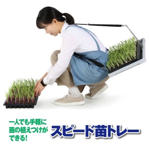 園芸用品 スピード苗トレー 特許技術 農家 苗 植え付け 苗トレー バランス 肩紐 作業効率 両手が使える 農作業