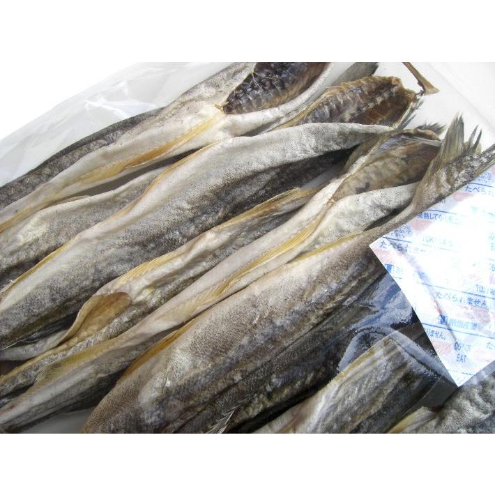 （250g×2袋）干し氷下魚（１袋５〜９尾）宅配便 北海道産こまい かんかい 送料無料（但し沖縄・離島は別途935円送料追加）