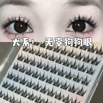 假睫毛 免膠犬系假睫毛 狗狗芭比眼 分段自然仿真假睫毛 新手濃密 無需膠水 犬系睫毛 小奶狗漫畫眼睫毛 大容量假睫毛