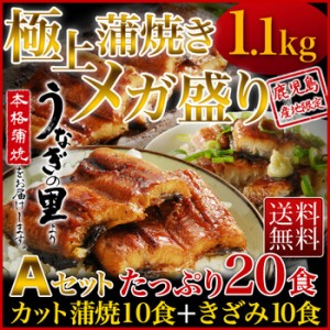 うなぎ 国産 送料無料 1kg 鹿児島県産鰻 極上蒲焼き メガ盛りAセット カット蒲焼き きざみ蒲焼き グルメ ギフト クール