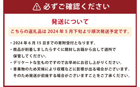 熊本県産 肥後グリーンメロン 2玉入り 果物 メロン