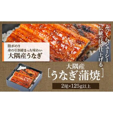 ふるさと納税 ふるさと2選A うなぎ(有頭・125g以上×2尾) と焼豚(約200g×5個・計約1kg)のセット 鹿児島 国産 九州産 黒豚 .. 鹿児島県肝付町