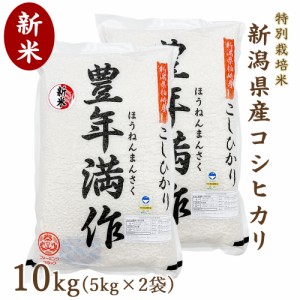 新米 令和5年度産 新潟県産 コシヒカリ 10kg 特別栽培米 真空パック 精米