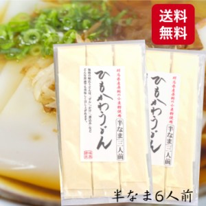 1000円ポッキリ 送料無料 ひもかわうどん（300ｇ）2袋セット ひもかわ うどん 半生うどん 幅広うどん 幅広めん 半生麺 おきりこみ