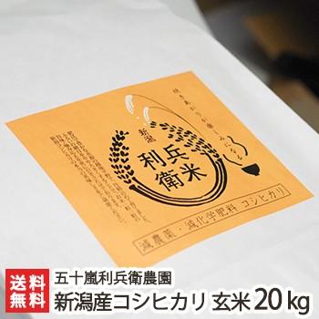 減農薬・減化学肥料 新潟産 炊きあがりが楽しみになるコシヒカリ 玄米20kg（10kg×2） 五十嵐利兵衛農園 送料無料