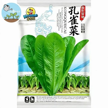 【原廠包裝】孔雀菜種子（Peacock Vegetable）免搭架A菜 嫩葉可不斷採收 耐熱快長 家庭盆栽蔬菜 台灣現貨