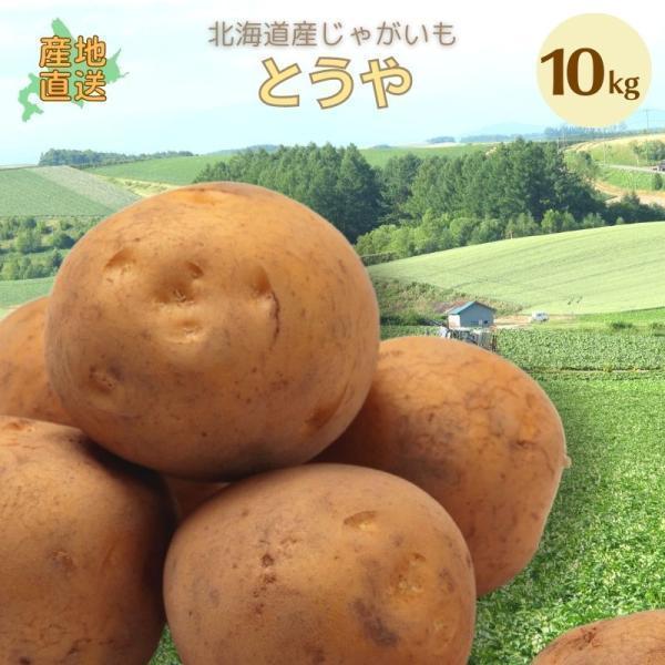 じゃがいも ジャガイモ とうや 10kg 正品・LM L 2L混 （新じゃがいも） 野菜 北海道産 お礼 御祝 産直 内祝 ジャガイモ 北海道ギフト