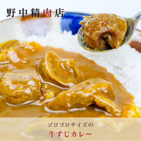 ゴロゴロサイズの牛すじカレー（1人前 250g）