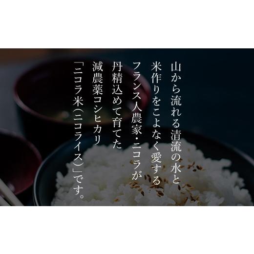 ふるさと納税 京都府 福知山市 フランス人農家が丹精込めて育てた減農薬コシヒカリ　二コラ米（二コライス）令和5年度新米　精米10kg ふるさと納税 減農薬コシ…