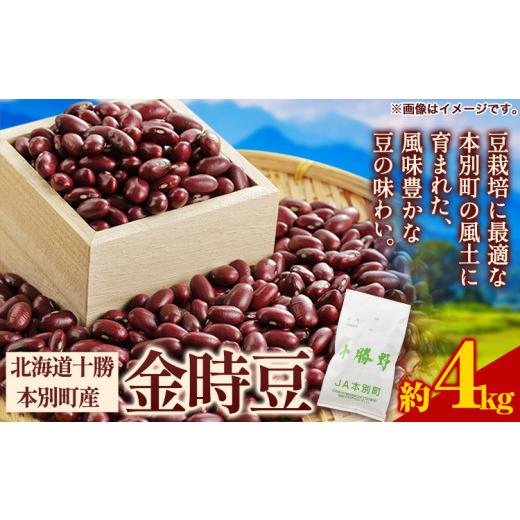 ふるさと納税 北海道 本別町 令和5年度産 北海道十勝 本別町産 金時豆 4kg 本別町農業協同組合《60日以内に順次出荷(土日祝除く)》北海道 本別町 豆 送料無料