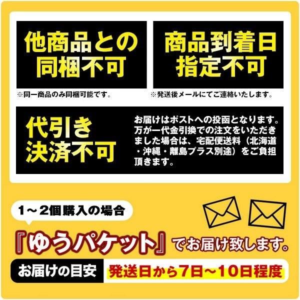 選べる3種（通常麺 極太麺 平切り麺）讃岐製麺所直送 生うどん6人前（300g×2P）メール便 [だし付き]  送料無料