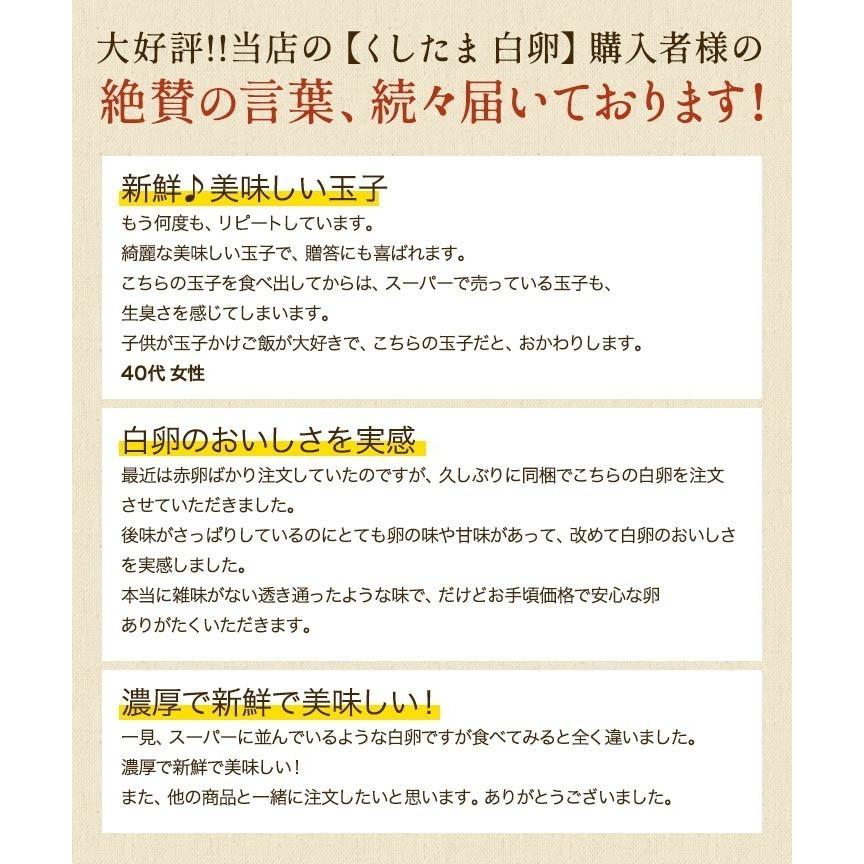 櫛田養鶏場 くしたま 10個入 (白卵)