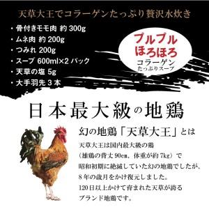 ふるさと納税 S081-007A_天草大王水炊きセット 3~4人前 熊本県天草市