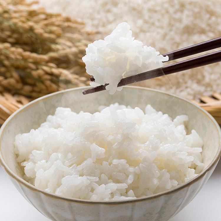 米 つや姫 山形県産 5kg つやひめ 精米 お米 白米 白ご飯 ごはん お弁当 おにぎり 常温便 同梱不可 指定日不可 産直