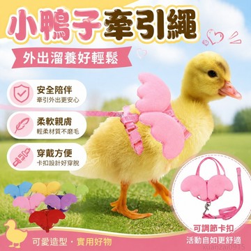 鋪 小鴨子鴨子牽引繩柯爾鴨小雞專用綁繩繩溜外出寵物溜養繩子用品 寵物專用 方便 解悶 出貨 寵物牽繩 寵物牽引繩