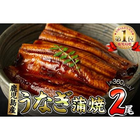 ふるさと納税 くすだ屋の極上うなぎ 2尾(180g×2)＜計360g以上＞ a6-015 鹿児島県志布志市