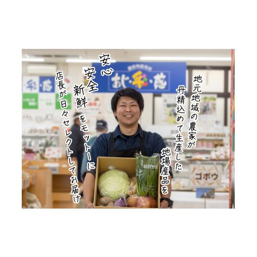 ふるさと納税 青森県 鰺ヶ沢町 世界自然遺産白神山地のまちから〜旬の野菜おまかせセット〜