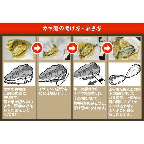 『代引不可』『産地直送』 岡山日生 殻付き活若牡蠣 〔加熱調理用〕 1斗缶(約110個前後) 『返品不可』『日時指定不可』『送料無料（一部地域除く）』