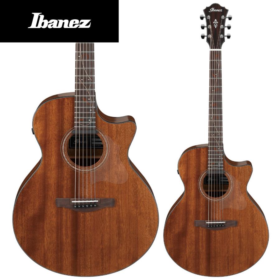 星野楽器 Ibanez AE295