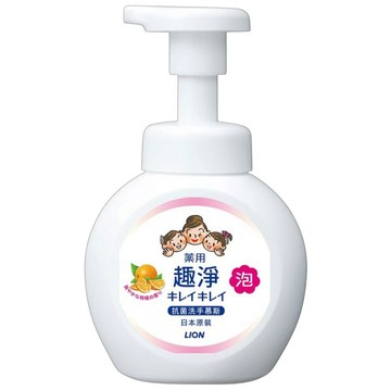 獅王 趣洗手淨慕斯 柑橘 250ml【德芳保健藥妝】