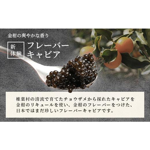 ふるさと納税 宮崎県 椎葉村 HEIKE CAVIAR  金柑キャビア 20g 国産