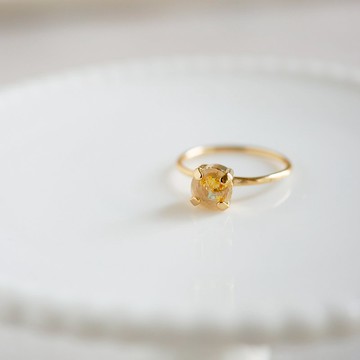 蕾絲花乾花/植物環