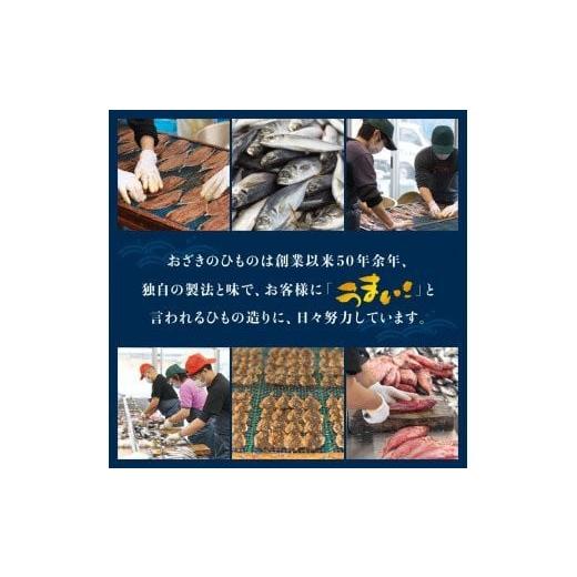 ふるさと納税 和歌山県 串本町 たっぷり25点以上！おざきのひもの「おまかせスペシャルセット」