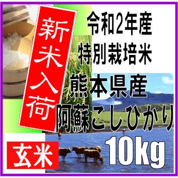 令和2年産　玄米　新米　熊本県産　特別栽培米　阿蘇こしひかり　10kg