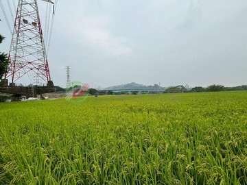 霧峰超美420坪農地/地形漂亮/隨時賞地｜台中市霧峰區舊正東段
